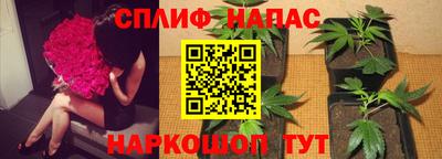 ПСИЛОЦИБИНОВЫЕ ГРИБЫ Краснознаменск