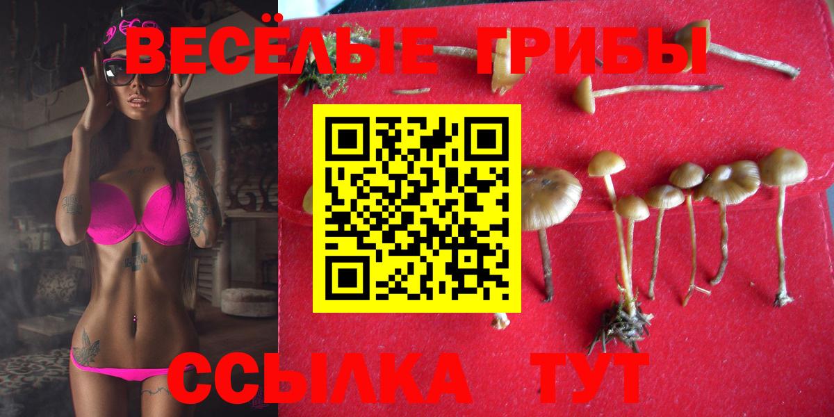 Галлюциногенные грибы прущие грибы Елец